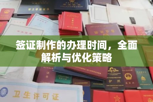 桐乡签证制作的办理时间，全面解析与优化策略
