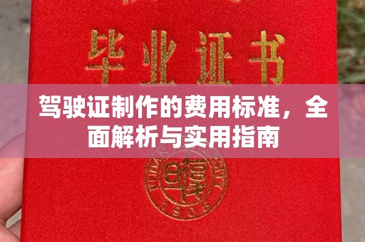 泗礁驾驶证制作的费用标准，全面解析与实用指南