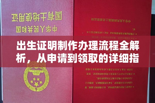 扎赉诺尔出生证明制作办理流程全解析，从申请到领取的详细指南